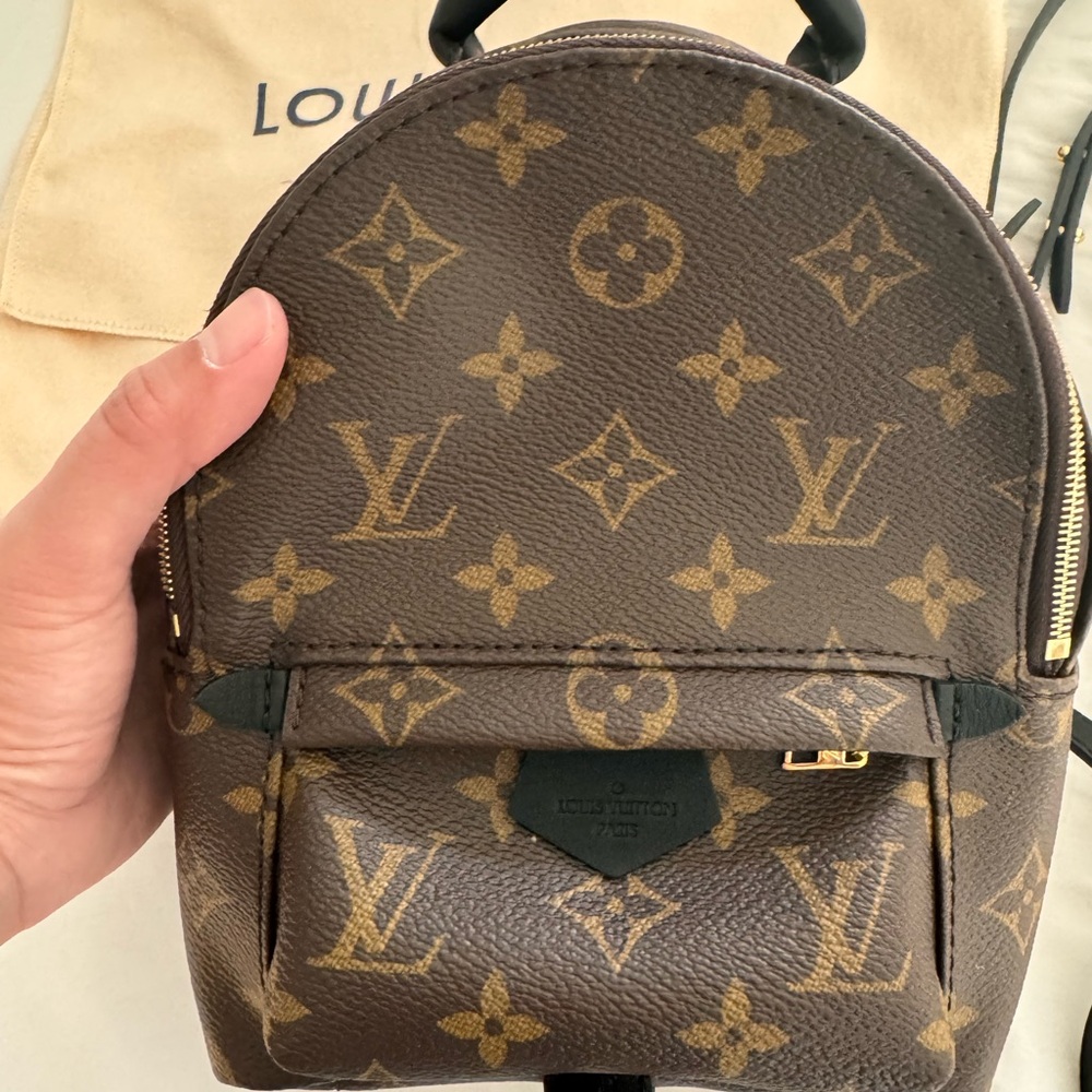 Like NEW Authentic Louis Vuitton monogram palm springs mini backpack crossbody - Picture 2 of 12
